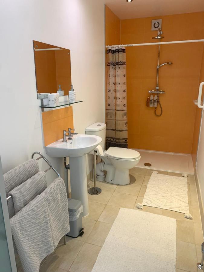 Puffin. Comfortable Annexe Central Falmouth Buitenkant foto